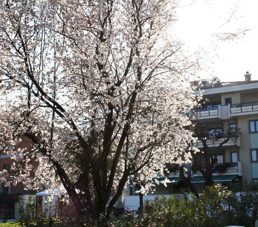 Ecohotel Roma 外观 照片
